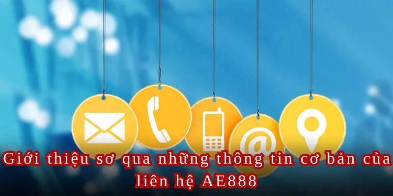 Một vài chuyên mục được hỗ trợ liên hệ AE888